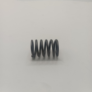 Valve Spring